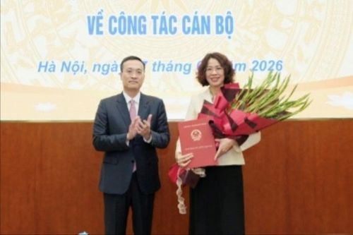 Thống đốc Ngân hàng Nhà nước bổ nhiệm lãnh đạo Cục Quản lý, giám sát tổ chức tín dụng