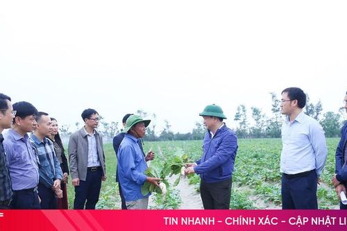 Hà Tĩnh xếp thứ 2/34 tỉnh, thành phố trong tổng điều tra nông thôn, nông nghiệp