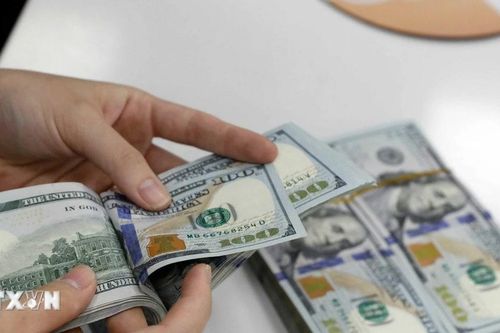 Tỷ giá ngày 14/1: Giá USD tại các ngân hàng thương mại tăng nhẹ