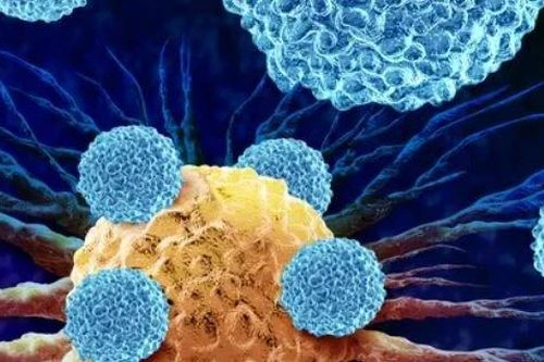Liệu pháp mới mở ra hướng điều trị ung thư chuẩn xác