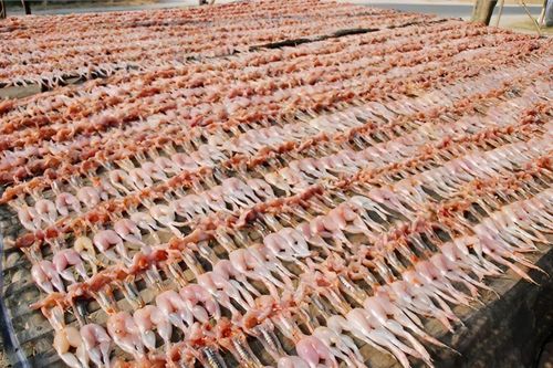 Đặc sản miền Tây nghe tên ngượng đỏ mặt, chấm mắm me ăn cực ngon, cận Tết là đắt hàng