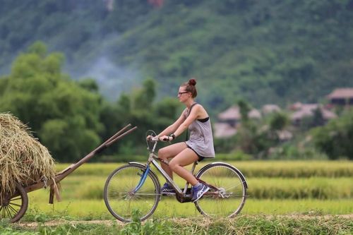 2026 sẽ là năm của những kỳ nghỉ yên tĩnh