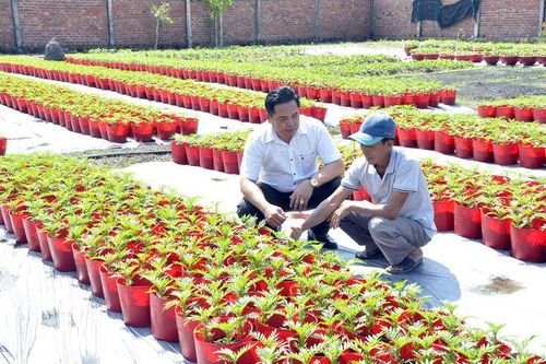 Khi lãnh đạo gần dân, sát việc