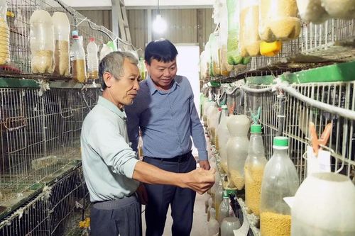 Nông dân thi đua sản xuất, kinh doanh giỏi: Tạo động lực phát triển kinh tế nông thôn