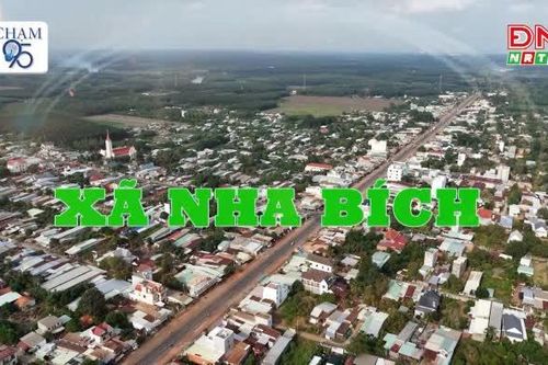[Video - Chạm 95] Xã Nha Bích
