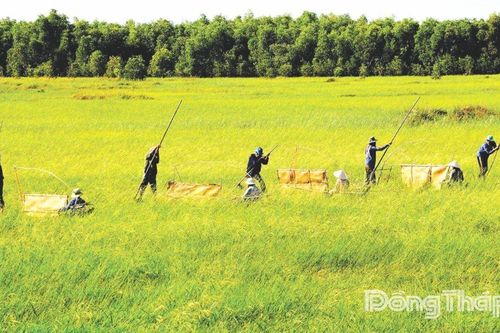 Tín hiệu hồi sinh của hệ sinh thái tại Vườn Quốc gia Tràm Chim