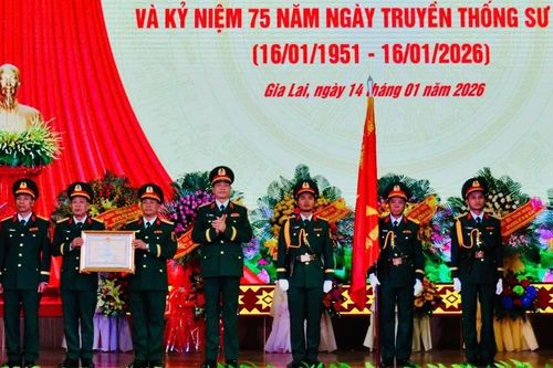 Sư đoàn 320 đón nhận Huân chương Bảo vệ Tổ quốc hạng nhì