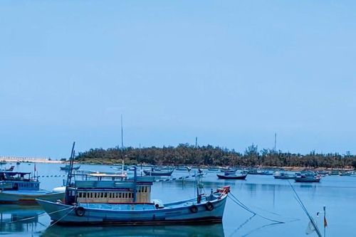 Thủy sản vượt khó hoàn thành các chỉ tiêu