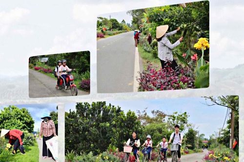 Đường hoa nông thôn - từ phong trào đến nếp sống xanh ở Đạ Tẻh