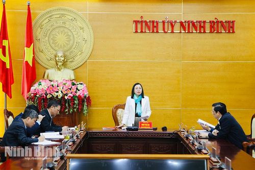 Đồng chí Phó Bí thư Thường trực Tỉnh ủy Đinh Thị Lụa làm việc với lãnh đạo các cơ quan chuyên trách tham mưu, giúp việc Tỉnh ủy