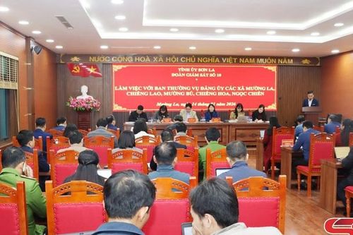 Tập trung chuẩn bị các điều kiện cho công tác bầu cử đại biểu Quốc hội và HĐND các cấp nhiệm kỳ 2026-2031