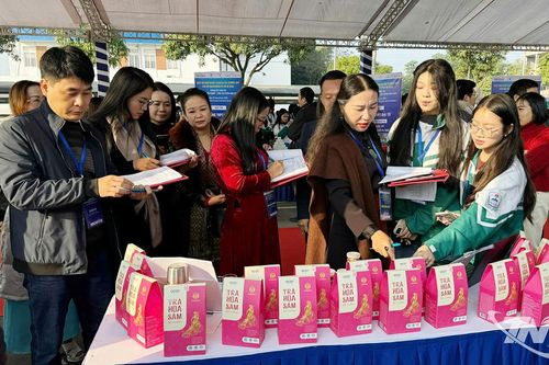 Khơi dậy tinh thần khởi nghiệp cho học sinh THPT