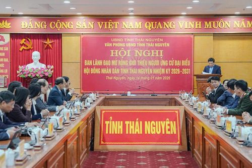 Văn phòng UBND tỉnh thống nhất giới thiệu 5 đồng chí ứng cử đại biểu HĐND tỉnh