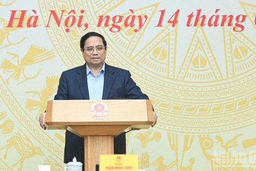 Tập trung nguồn lực, nâng cao hiệu quả thực thi các cam kết quốc tế