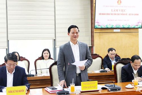 Chủ tịch UBND tỉnh Thái Nguyên làm việc với Đoàn công tác của Cục Thống kê