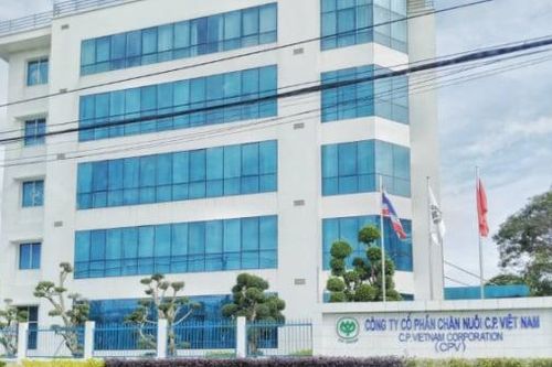 Công ty C.P. Việt Nam cùng 2 ông lớn ngành chăn nuôi sắp bị thanh tra