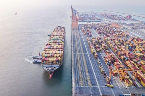 Cổ phiếu MVN 'cháy hàng' sau kế hoạch thoái vốn Nhà nước và chuyển sàn