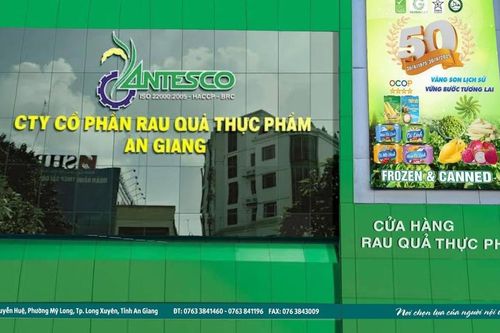 Antesco (ANT) chào sàn HOSE ngày 20/1: Vốn hóa gần 1.000 tỷ đồng, lợi nhuận 9 tháng vượt kế hoạch năm