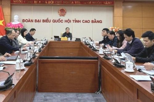 Công bố kết quả sơ bộ Tổng điều tra nông thôn, nông nghiệp năm 2025