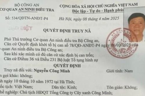 Vụ án liên quan Công ty cây xanh Công Minh: Đề nghị truy tố 35 bị can