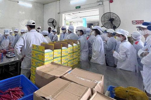 Tạm dừng sản xuất pate Cột Đèn và các chế phẩm từ thịt: Đồ hộp Hạ Long xử lý quyền lợi của người lao động ra sao?