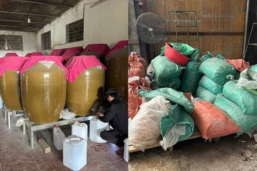 Hải Phòng phạt 21 triệu đồng cơ sở sản xuất rượu gạo không đảm bảo an toàn thực phẩm