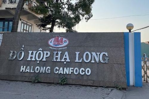 Vụ hơn 130 tấn thịt lợn nhiễm bệnh: Khởi tố, bắt tạm giam Tổng Giám đốc Công ty CP Đồ hộp Hạ Long
