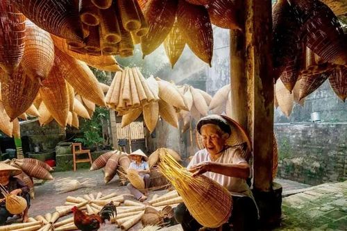 Từ Luật Thủ đô đến Nghị quyết 49 của HĐND TP Hà Nội: động lực mới phát triển kinh tế nông thôn