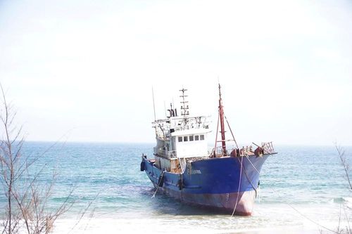 Yêu cầu xử lý nghiêm, ngăn ngừa sự cố môi trường biển
