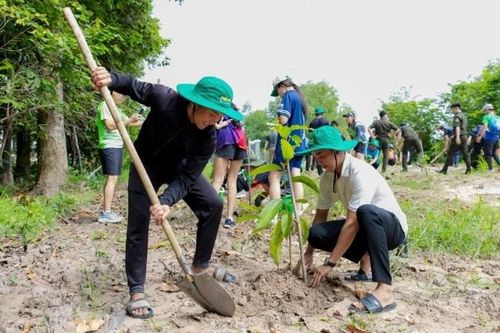 Phát động chương trình trồng tre chống lũ