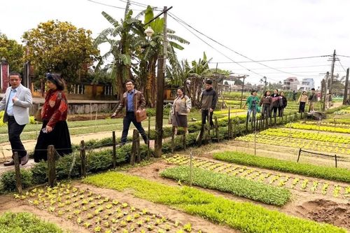 Tìm hướng kết nối, đa dạng hóa du lịch làng nghề Hội An