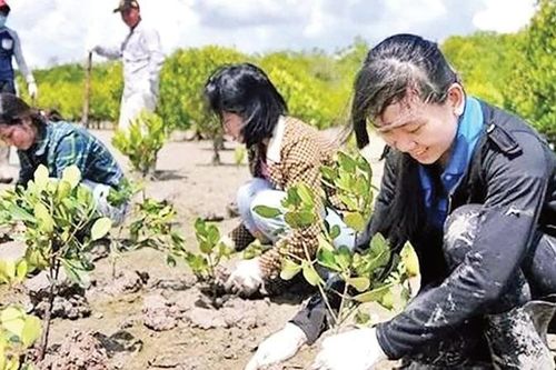 Sử dụng bền vững các vùng đất ngập nước