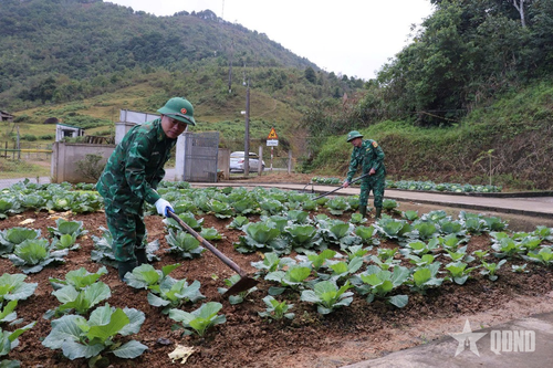 Qua lao động sản xuất, bộ đội thêm hiểu, thêm gắn bó biên cương
