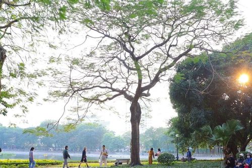 Cảnh công viên trung tâm của Hà Nội hạ rào, bỏ cửa