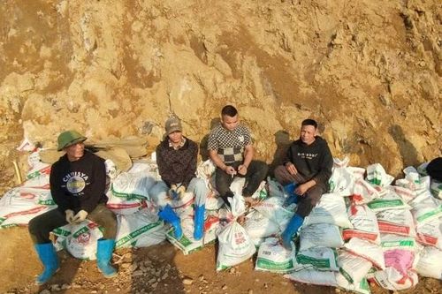 Truy quét nhóm người khoét núi khai thác vàng trái phép ở Phú Thọ