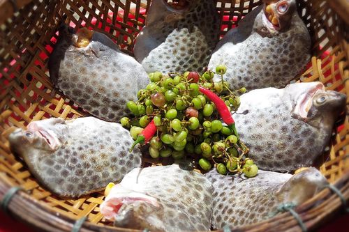 Sản vật 'trời ban' ở miền Tây ăn ngọt thịt, nấu canh hay kho đều tốn cơm