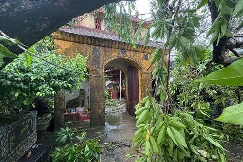 Quảng Ninh bàn giao trẻ tại chùa Cẩm La về gia đình và Trung tâm Trợ giúp xã hội