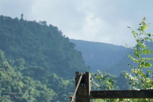 VTV thắng lớn tại Cánh diều 2025: Không thời gian lập cú đúp giải thưởng quan trọng