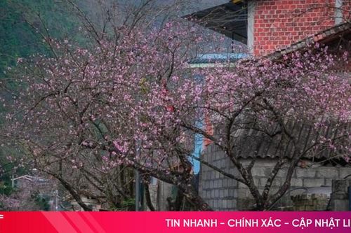 Khởi hành năm mới với những điểm du lịch miền Bắc hấp dẫn