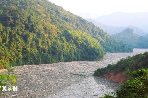 Rác, gỗ phủ kín mặt sông Nậm Nơn, bủa vây hồ Thủy điện Bản Vẽ