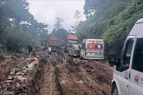 Xây dựng khẩn cấp khắc phục hậu quả thiên tai trên các tuyến quốc lộ