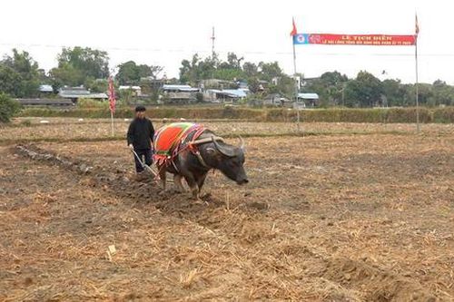 Lễ hội Lồng Tồng ATK Định Hóa – Gìn giữ mạch nguồn văn hóa giữa 'Thủ đô gió ngàn'