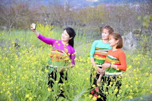 Sắc xuân sớm ở Son - Bá - Mười