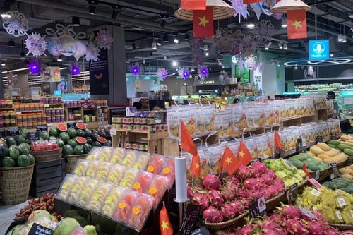 Nông sản Việt định vị chuỗi giá trị toàn cầu nhờ công nghệ và chuẩn hóa quốc tế