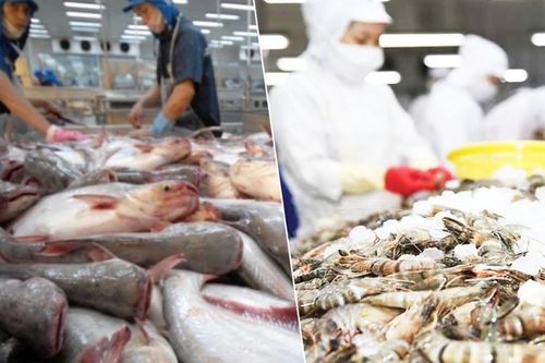 Ngành thủy sản Việt Nam 2025: Kỷ lục xuất khẩu, sóng gió chính sách và hành trình tái cấu trúc