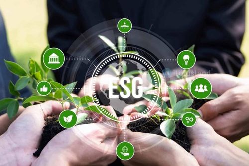 Thực hành ESG: Cơ hội doanh nghiệp hút vốn xanh, tăng sức cạnh tranh trong chuỗi cung ứng