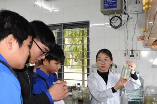 Học dưới áp lực điểm số