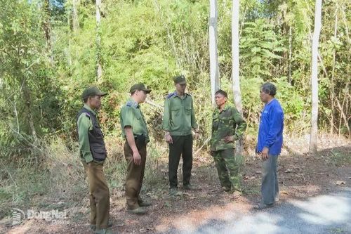 Tăng cường phòng, chống cháy rừng mùa khô