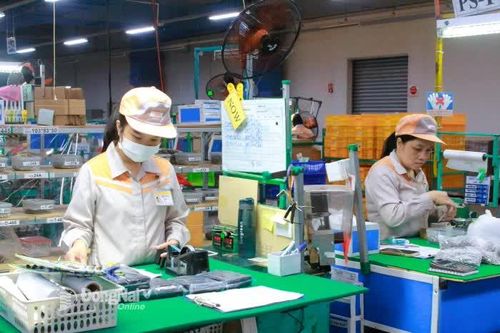Nhộn nhịp sản xuất những ngày đầu năm
