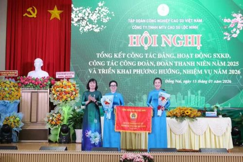 Công ty Cao su Lộc Ninh tập trung thực hiện các nhiệm vụ, giải pháp để vượt các chỉ tiêu trong năm 2026